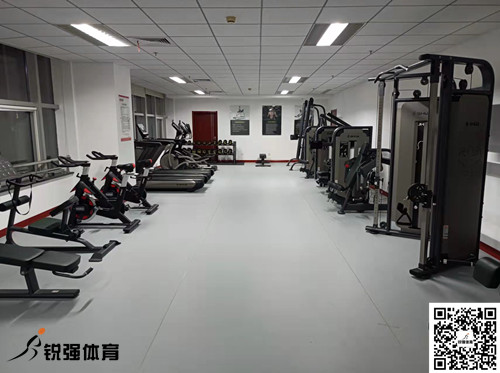 济南某集团采购的九游娱乐Nineame官方网站体育提供的健身器材