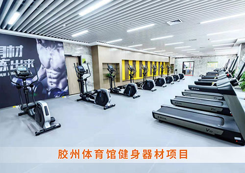 ​九游娱乐Nineame官方网站体育为胶州体育馆打造的健身房