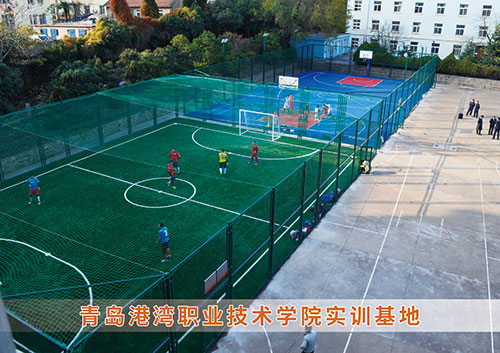 ​九游娱乐Nineame官方网站体育为青岛港湾职业技术学院打造健身实训基地