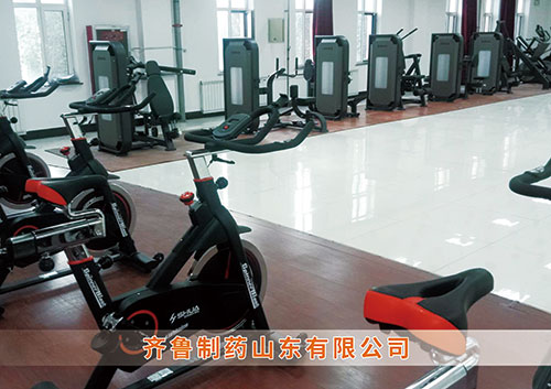 ​九游娱乐Nineame官方网站体育为齐鲁制药呼和浩特分公司打造健身房