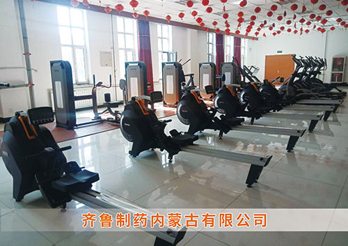 九游娱乐Nineame官方网站体育为​齐鲁制药内蒙古分公司打造健身房
