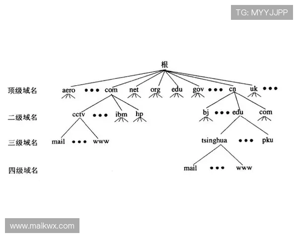 里尔进攻套路解析：战术体系与近期表现走势清晰