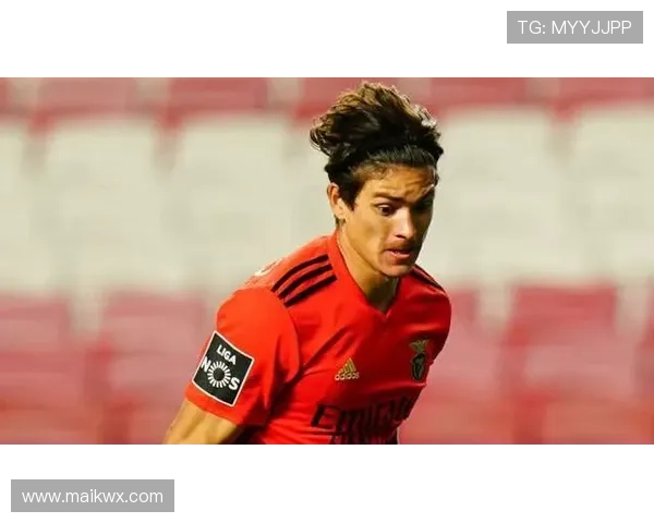 努涅斯本菲卡时期荣誉解析：成名基础是否奠定