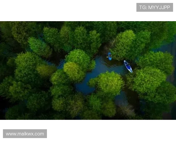 阿什拉夫与坎塞洛推进方式及技术路线差异解析 阿什拉夫与坎塞洛推进方式及技术路线差异解析